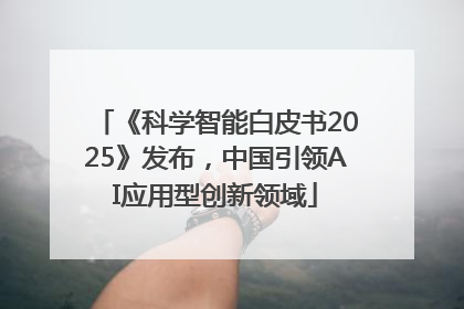 《科学智能白皮书2025》发布，中国引领AI应用型创新领域