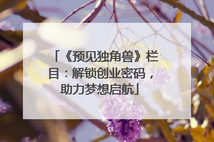 《预见独角兽》栏目：解锁创业密码，助力梦想启航
