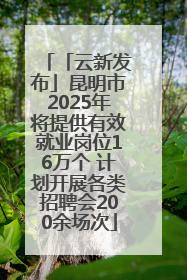 「云新发布」昆明市2025年将提供有效就业岗位16万个 计划开展各类招聘会200余场次