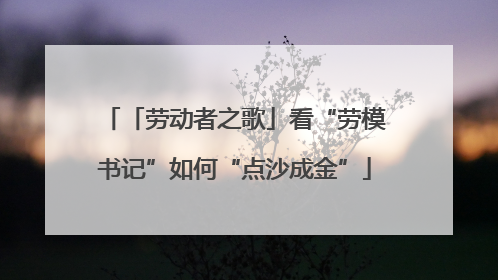 「劳动者之歌」看“劳模书记”如何“点沙成金”