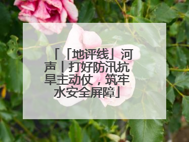 「地评线」河声丨打好防汛抗旱主动仗，筑牢水安全屏障
