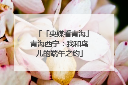「央媒看青海」青海西宁：我和鸟儿的端午之约