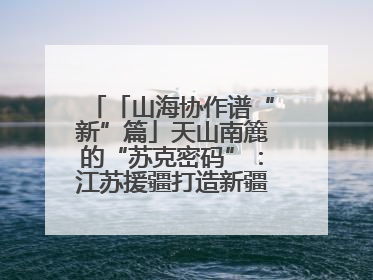 「山海协作谱“新”篇」天山南簏的“苏克密码”：江苏援疆打造新疆克州制造新引擎
