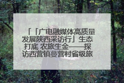 「广电融媒体高质量发展陕西采访行」生态打底 农旅生金——探访西营镇蔓营村省级旅游示范村的振兴密码