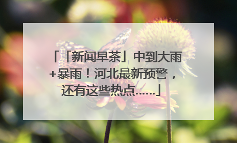 「新闻早茶」中到大雨+暴雨！河北最新预警，还有这些热点……