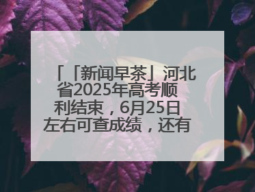 「新闻早茶」河北省2025年高考顺利结束，6月25日左右可查成绩，还有这些热点……