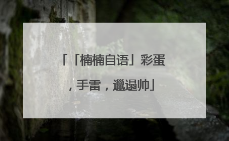 「楠楠自语」彩蛋，手雷，邋遢帅