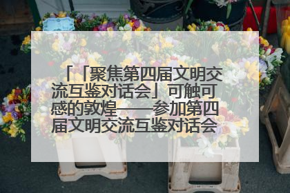 「聚焦第四届文明交流互鉴对话会」可触可感的敦煌——参加第四届文明交流互鉴对话会的外宾参观上元市集
