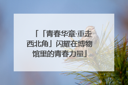 「青春华章·重走西北角」闪耀在博物馆里的青春力量
