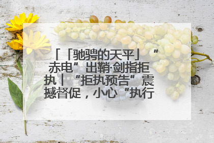 「驰骋的天平」“赤电”出鞘·剑指拒执︱“拒执预告”震撼督促，小心“执行”变“执刑”
