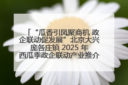 “瓜香引凤聚商机 政企联动促发展”北京大兴庞各庄镇 2025 年西瓜季政企联动产业推介活动圆满举行