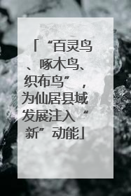 “百灵鸟、啄木鸟、织布鸟”，为仙居县域发展注入“新”动能
