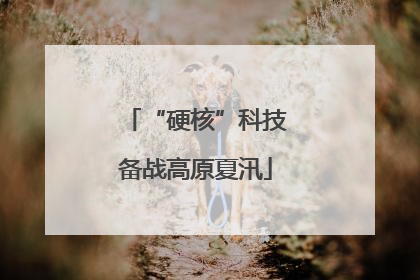 “硬核”科技备战高原夏汛