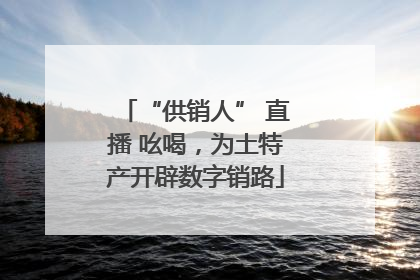 “供销人” 直播 吆喝，为土特产开辟数字销路