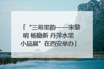 “三希墨韵——宋黎明 杨稳新 丹萍水墨小品展”在西安举办
