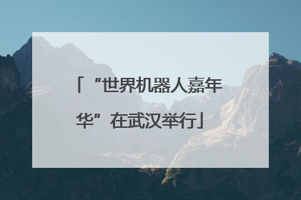 “世界机器人嘉年华”在武汉举行