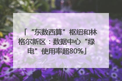 “东数西算”枢纽和林格尔新区：数据中心“绿电”使用率超80%