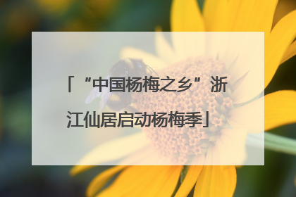 “中国杨梅之乡”浙江仙居启动杨梅季