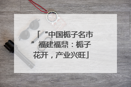 “中国栀子名市”福建福鼎：栀子花开，产业兴旺