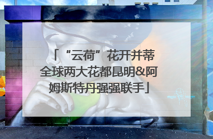 “云荷”花开并蒂 全球两大花都昆明&阿姆斯特丹强强联手