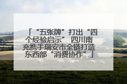 “五张牌”打出“四个经验启示” 四川南充携手瑞安市全链打造东西部“消费协作”