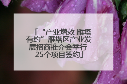 “产业增效 雁塔有约”雁塔区产业发展招商推介会举行 25个项目签约