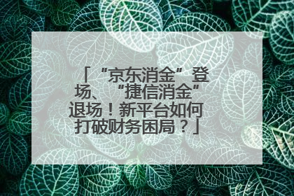 “京东消金”登场、“捷信消金”退场！新平台如何打破财务困局？