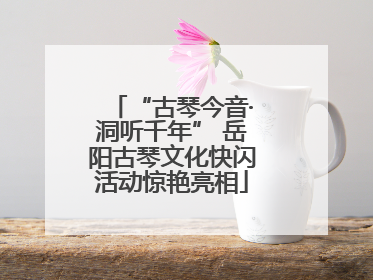 “古琴今音·洞听千年” 岳阳古琴文化快闪活动惊艳亮相