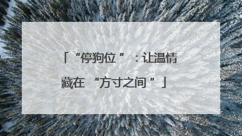 “停狗位 ”：让温情藏在 “方寸之间 ”