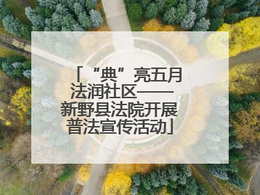 “典”亮五月 法润社区——新野县法院开展普法宣传活动