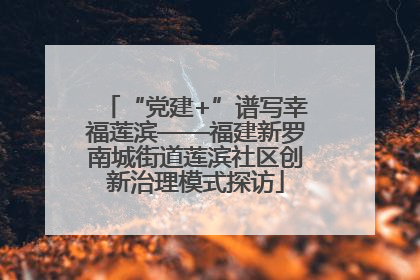“党建+”谱写幸福莲滨——福建新罗南城街道莲滨社区创新治理模式探访