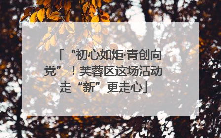 “初心如炬·青创向党”！芙蓉区这场活动走“新”更走心
