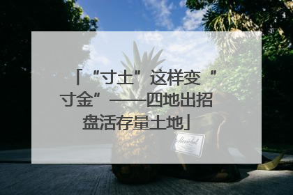 “寸土”这样变“寸金”——四地出招盘活存量土地