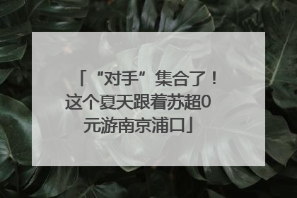 “对手”集合了！这个夏天跟着苏超0元游南京浦口