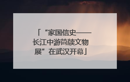“家国信史——长江中游简牍文物展”在武汉开幕