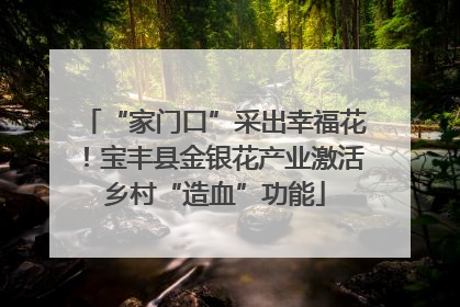 “家门口”采出幸福花！宝丰县金银花产业激活乡村“造血”功能
