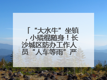 “大水牛”坐镇，小撬棍随身！长沙城区防办工作人员“人车等雨”严阵以待