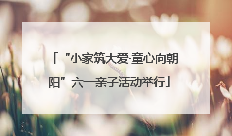 “小家筑大爱·童心向朝阳”六一亲子活动举行