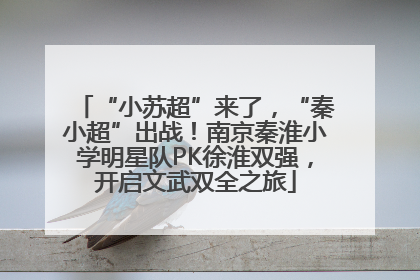 “小苏超”来了，“秦小超”出战！南京秦淮小学明星队PK徐淮双强，开启文武双全之旅