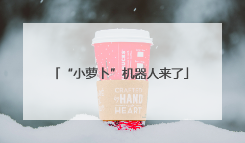 “小萝卜”机器人来了