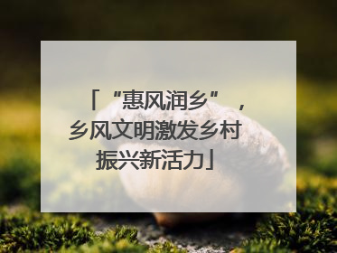 “惠风润乡”，乡风文明激发乡村振兴新活力
