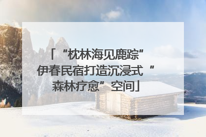 “枕林海见鹿踪” 伊春民宿打造沉浸式“森林疗愈”空间