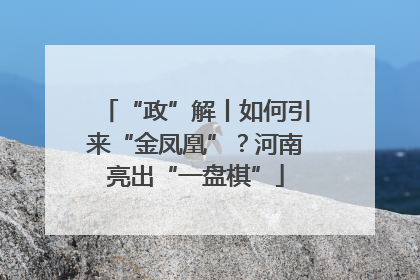 “政”解丨如何引来“金凤凰”？河南亮出“一盘棋”