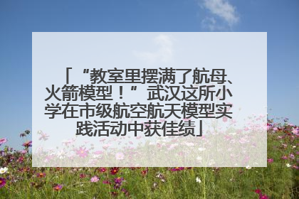 “教室里摆满了航母、火箭模型！”武汉这所小学在市级航空航天模型实践活动中获佳绩