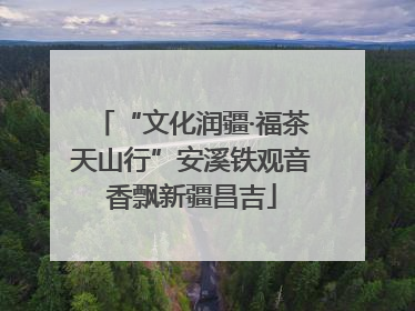 “文化润疆·福茶天山行”安溪铁观音香飘新疆昌吉
