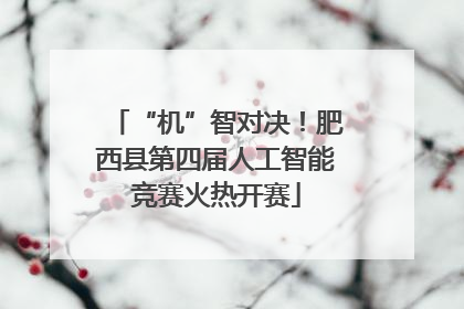 “机”智对决!肥西县第四届人工智能竞赛火热开赛