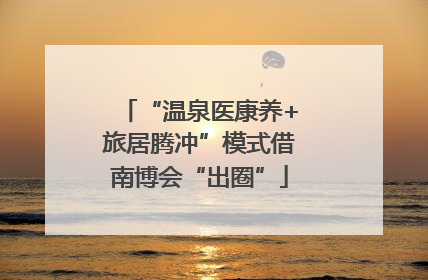 “温泉医康养+旅居腾冲”模式借南博会“出圈”