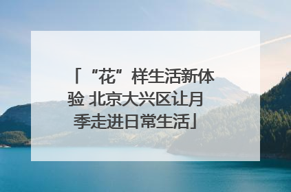 “花”样生活新体验 北京大兴区让月季走进日常生活