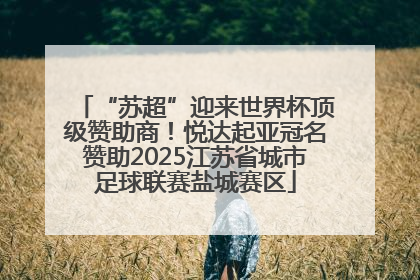 “苏超”迎来世界杯顶级赞助商！悦达起亚冠名赞助2025江苏省城市足球联赛盐城赛区