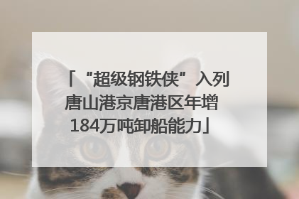 “超级钢铁侠”入列 唐山港京唐港区年增184万吨卸船能力